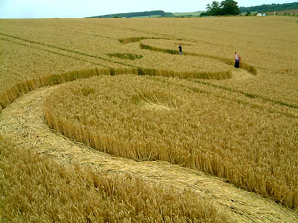 Serpentine pattern in West Overton wheat field near Avebury, Wiltshire, was discovered by farmer at 5 a.m. on July 29, 2004. Photograph © 2004 by Stuart Dike, Cropcircleconnector.com. Peter Tadd told me today: