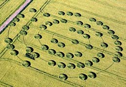 Top:  Yatesbury Field, Wiltshire, England, reported May 30, 2007, fifty-seven swirled barley circles in large spiral about 300 feet in diameter. Bottom: Madisonville, Tennessee, wheat pattern about 170 feet in diameter with crop laid down in counterclockwise circles discovered from airplane on May 15, 2007. U.K. aerial image © 2007 by Lucy Pringle. Tennessee aerial © 2007 by Mark Boring, Co-owner and Editor, Monroe County Buzz.
