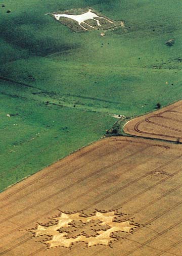 Fractal crop formation called a "double Von Koch snowflake" was discovered in wheat below Milk Hill White Horse in Wiltshire on August 8, 1997; measured 264 feet in diameter and had 198 circles. Aerial photograph © 1997 by Lucy Pringle, www.lucypringle.co.uk.