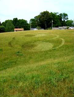 Asheville, North Carolina, resident Danny Tetrault sent in these photos of what he described as a crop circle he saw in West Asheville on Sunday, May 27, 2007. The grass formation can be seen off of North Bear Creek Road. Image © 2007 by Asheville Citizen-Times.