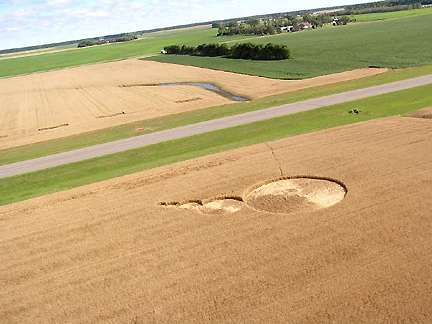 "Thought bubble" of five wheat circles, Northwood, North Dakota, reported on August 26, 2005. All five circles swirled counter-clockwise. Biggest circle was 68 feet in diameter; second 31 feet in diameter; third 18 feet in diameter; fourth 9 feet in diameter; fifth smallest circle was 6.5 feet in diameter. Aerial photograph © 2005 by Mike Nichols.