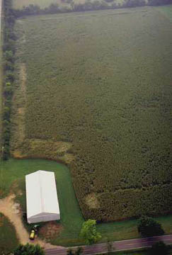 Reported August 12, 2005, corn raised off the ground as high as five feet in randomly downed sections of the field that were 35 feet wide and three-quarters of a mile long. Aerial photograph © 2005 by George Bieri.