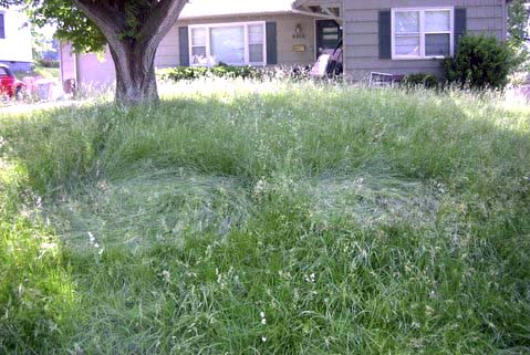 Monday, May 21, 2007, around 4 PM local time in Mission, Kansas, (suburb of Kansas City, Kansas), homeowner James Gravatt discovered two circles swirled in the high native grass of his unmowed front yard. Photograph © 2007 by James Gravatt.