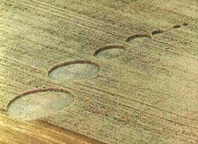 Seven-circle wheat "thought bubble" was reported on August 1, 2000, in Owatonna, Minnesota. Aerial photograph provided by Jeffrey Wilson, ICCRA.