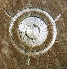 1999 Verona, Wisconsin, ring pattern in barley. Aerial photograph © 1999 by Jeffrey Wilson.