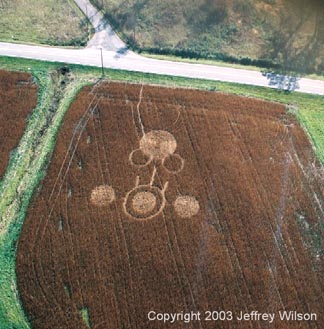 Upper circle flattened in soybeans was 45 feet 4 inches in diameter. All the other rings and flattened circles were about 28 feet in diameter. Field is in West Union, Ohio, south of the Serpent and Seip Mounds. The paths were made during the investigation. Aerial photograph © 2003 by Jeffrey Wilson.