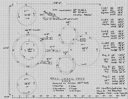 Upper circle flattened in soybeans was 45 feet 4 inches in diameter. All the other rings and flattened circles were about 28 feet in diameter. Diagram © 2003 by Ted Robertson.