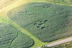 Above: West Union, Ohio, soybean field imprinted with a pattern of downed crop reported on August 16, 2004. Aerial photograph © 2004 by Jeffrey Wilson, ICCRA. Below: The Ohio pattern resembles the "crown chakra" in the formation reported at the Pewsey White Horse in Wiltshire, England, on July 22, 2004. Aerial photograph © 2004 by Francine Blake.