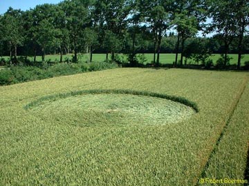 The pressed thin ring around the inside of the flattened circle's perimeter can faintly be seen on the left in this photograph © 2003 by Robert Boerman.