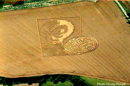 Face and code wheat formation 250 feet wide by 360 feet long at Vale Farm next to Crabwood copse in the village  of Pitt near Winchester, Hampshire, U.K., first reported on August 15, 2002, one year after the  August 14, 2001 face and code appeared at the Chilbolton Radio Observatory.  Aerial photograph © 2002 by Lucy Pringle, http://lucypringle.co.uk.