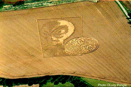 Face and code wheat formation 250 feet wide by 360 feet long at Vale Farm next to Crabwood copse in the village of Pitt near Winchester, Hampshire, U.K., first reported on August 15, 2002, one year after the August 14, 2001 face and code appeared at the Chilbolton Radio Observatory. Aerial photograph © 2002 by Lucy Pringle, http://lucypringle.co.uk.