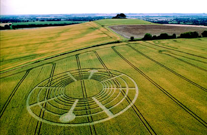 Early evening, July 21, Lucy Pringle flew over this new formation in wheat at the top of the South Field below Woodborough Hill with dark trees near top of photograph. First reported morning of July 21, 2004, and is reported (confirmation pending) to be official experiment on Tim Carson farm paid for by Joachim Koch, M. D., and Hans-Juergen Kyborg. Aerial photograph © 2004 by Lucy Pringle. 