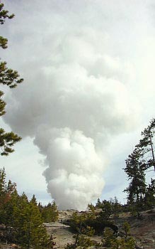 Norris Geyser Basin, Yellowstone National Park. Photograph courtesy USGS.