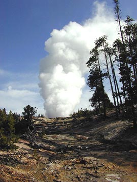 Steamboat Geyser's steam eruptions became more intense in the summer of 2003. Photograph courtesy USGS.