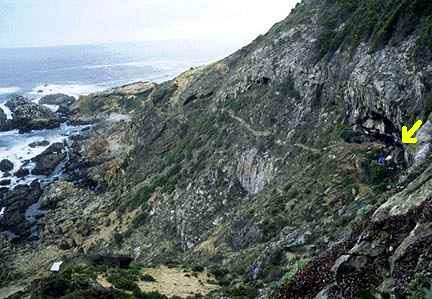 View of Indian Ocean and west of Blombos Cave entrance where yellow arrow points. Photograph courtesy National Science Foundation.