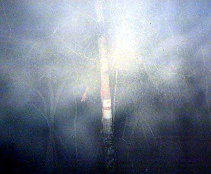 Luminous mist with hidden face photographed on Bragg Road, January 20, 1996 © by Rob Riggs and Bill Fleming.