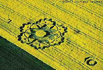 Zierenberg, Germany, sixfold geometry in yellow flowering oilseed rape about 90 feet diameter. Discovered May 13, 2001. Aerial photograph © 2001 by Frank Laumen.
