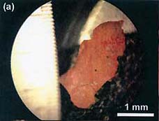 Top: Photomicrograph of red/gray chip from samples of the WTC dust involved in this study. 31-page report with photomicrographs and spectra were published April 3, 2009, in The Open Chemical Physics Journal. Bottom: Red-gray residues of burnt thermite used by railway workers to cut or weld railroad tracks shown in Wikipedia.