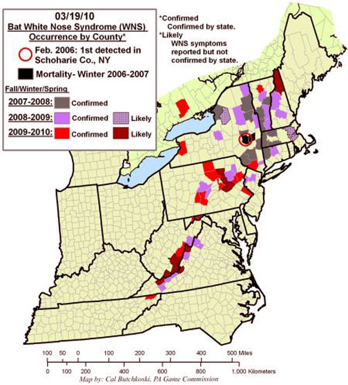 Eleven states are now infected with the Geomyces destructans fungus as shown on map of Bat White Nose Syndrome (WNS) Occurrence by County, as of March 19, 2010.  Also on March 19, Ontario, Canada, reported its first victims of white-nose fungus on bats in the Bancroft-Minden area 124 miles (200 km) west of Ottawa. See websites below. Map courtesy of Cal Butchkoski, Pennsylvania Game Commission.
