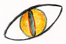 Gold cat-eye beneath tall male alien's black lenses. Drawing by L. Hoffman for Linda Moulton Howe © 1992.