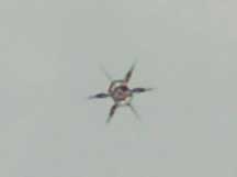 Spider-like aerial object photographed over Petten, Holland, around 1:30 PM to 1:35 PM on Saturday, September 8, 2007. Image © 2007 by Ruud Schmidt.