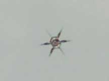 Spider-like aerial object photographed over Petten, Holland, around 1:30 PM to 1:35 PM on Saturday, September 8, 2007. Image © 2007 by Ruud Schmidt.