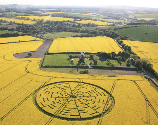 300-foot-diameter formation in 5-foot-tall oilseed rape near the Wilton Windmill in Wiltshire, England, first reported around noon on Saturday, May 22, 2010, by pilot Busty Taylor. Aerial image © 2010 by Lucy Pringle. Images and information by:  Cropcircleconnector.com. 