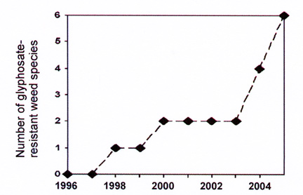 This graph shows the rising number of known glyphosate-resistant weed species in United States since 1996. Source: Facts About Glyphosate-Resistant Weeds by Chris Boerboom, Univ. of Wisconsin, and Michael Owen, Iowa State University, 2006.
