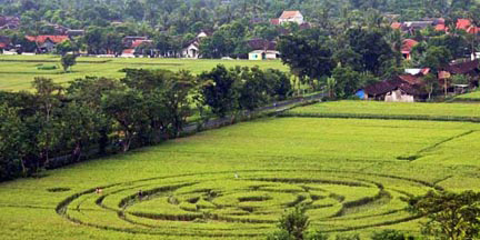 On Sunday, January 23, 2011, a resident named Yudi of the Rejosari village in Yogyakarta, Indonesia, southeast of Jakarta, reported that at 5 AM he discovered a crop formation in a rice field below a peak called Mount Suru. Yudi says he was outside from 3 AM on and all was quiet, while other residents said they heard what sounded like a helicopter pass over. Estimated diameter is 98 feet (30 meters). Also see Disclose.tv. Diagram © 2011 by Andreas Mueller.