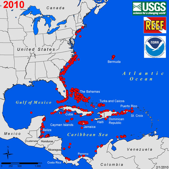 Lionfish sightings as of February 1, 2010. Map by USGS, REEF and NOAA.