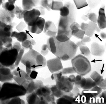 Transmission electron microscopy of hexagonal-shaped magnetite crystals (arrows) found inside the carbon worm-like structures in the Allan Hills meteorite from Mars that might be fossilized bacteria. Image photographed by Kathie Thomas-Keprta at the NASA Johnson Space Center, Houston, Texas.