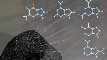 Michael Callahan, Ph.D., NASA Goddard Space Flight Center in Greenbelt, Maryland, is the lead author of a paper in the Proceedings of the National Academy of Sciences that describes how his Goddard team ground up samples of twelve carbon-rich meteorites, nine of which were recovered from Antarctica. The team found adenine and guanine, which are components of DNA called nucleobases. The discovery adds to a growing body of evidence that the chemistry inside asteroids and comets is capable of making building blocks of essential biological molecules. See: PNAS.