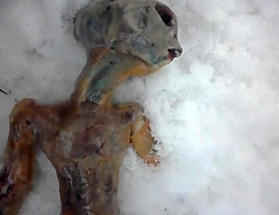 Alleged non-human body found on snow where villagers near Irkutsk, Russia, reported unidentified aerial lights on two nights from February 28 to March 1, 2011, as well as a bright flash of light. No craft debris was ever found by authorities, according to NTV Russian television, but the small, non-human body above was videotaped and distributed on Youtube. In comparison to the surrounding environment, the size of the alien body is not much more than a foot - or two feet if the legs and seemingly very long arms were intact. See video link at end of Translation 1.
