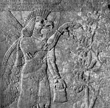  Mesopotamian stone carving depicts Anzu, Sumerian Bird-Man, with large wings, interacting with Tree of Life. Source:  Sumerian Gods and Goddesses.