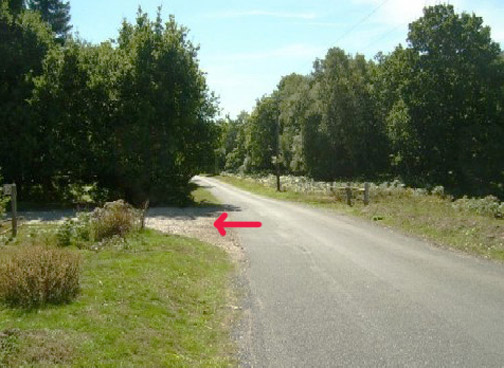 Red arrow points to dirt logging trail that turns off main East Gate road.