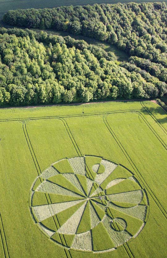 Liddington Castle near Swindon, Wiltshire, England, reported June 2, 2010. Aerial image © 2010 by Lucy Pringle. Also information and images: Cropcircleconnector.com.