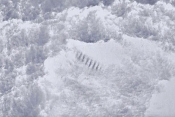 “Staircase” about 200 miles west from Shackleton Coast, East Antarctica. 2012 Google Earth image.