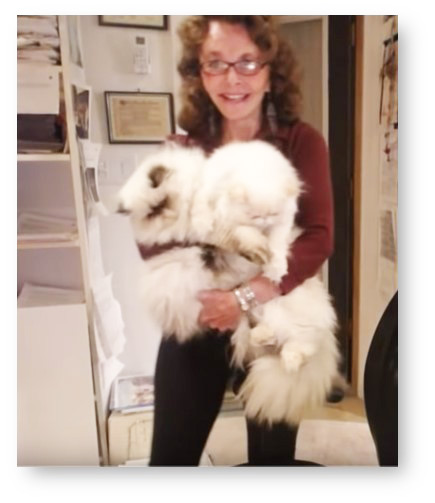 Earthfiles Reporter and Editor Linda Moulton Howe with Himalayan 1-year-old cats Chocolate (left) and Fluffy (right) at the beginning of September 26, 2018, Earthfiles YouTube live broadcast, Albuquerque, New Mexico.