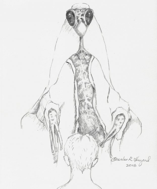 Thin, tall praying mantis-type entity with whitish skin mottled by beige-brown pattern. Three long, thin fingers. Sketch © 2018 by Charles R. Hazard for Earthfiles.com.