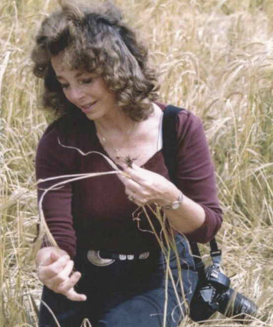 Linda Moulton Howe investigating crop formations in England in 1999.
