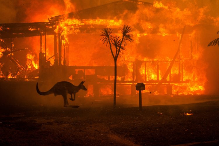 The rural town of Balmoral southwest of Sydney in New South Wales was destroyed in catastrophic fires on December 22, 2019. Image © 2020 by BBC.