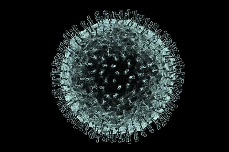 This deadly new Wuhan coronavirus has rapidly spread in less than a month to at least 13 countries around the world with 82 dead and new cases about to reach 3,000 on January 27, 2020. Coronavirus images from Alfred Pasieka/Science Photo Library.
