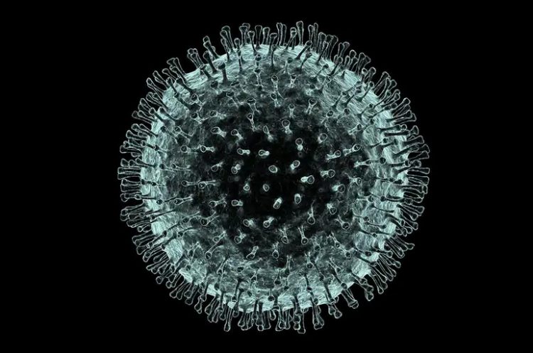 Illustration of the many protein spikes that rise up all over a spherical lipid covering of RNA code inside the sphere. The tip of each protein spike contains a fragile sugar molecule, which shakes. That shaking makes it difficult for human antibodies to figure out COVID-19's exact shape to label it an enemy. Further, human antibodies get stuck inside the spikes, filling in the spaces between the spikes. As the human antibodies pile up inside the COVID protein spikes, the antibodies signal attacks against other human antibodies instead of the spherical, spiked COVID-19. 