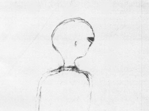 Stephen P. sketch of one of two grey-colored, small, non-human beings with large, slanted, all black eyes and no ears, slits for nose and mouth, walking stiff-legged on very thin, straight legs and tiny feet in La Luz, New Mexico, in 1995.
